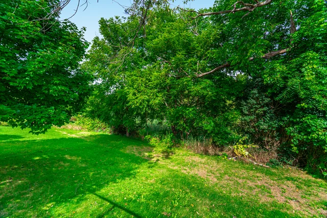 84 Meadowbank Drive, Hamilton - photo 82
