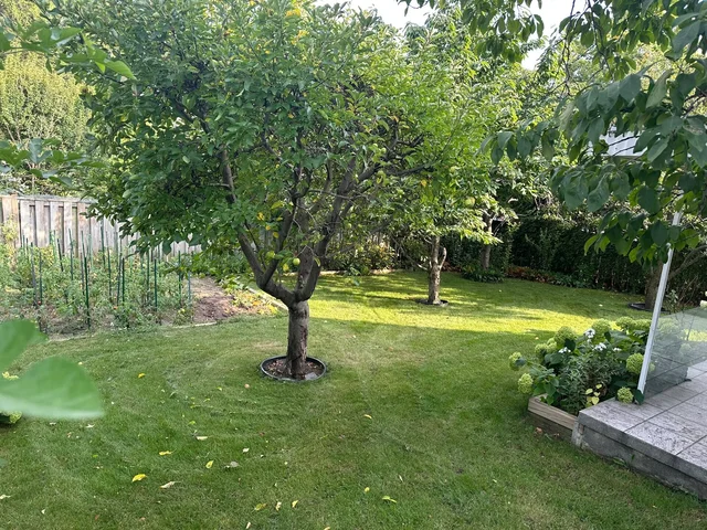1434 Thorndyke Crescent, Mississauga - photo 74