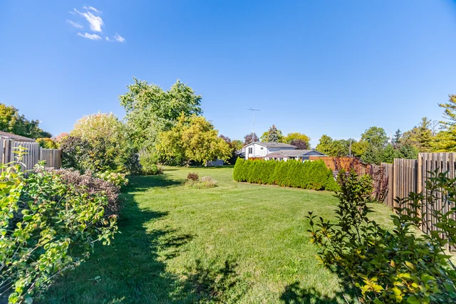 33 Rice Drive, Schomberg - photo 60