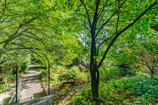 25 Main Street, Kleinburg - photo 73