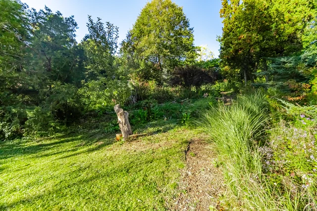 25 Main Street, Kleinburg - photo 85
