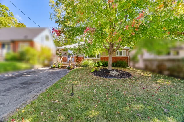 18 Delsey Street, Hamilton - photo 12