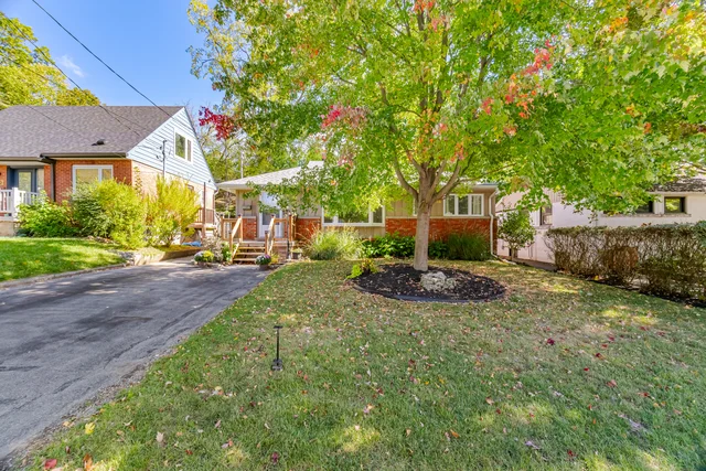 18 Delsey Street, Hamilton - photo 13