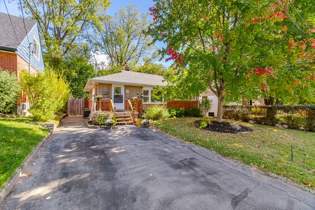 18 Delsey Street, Hamilton - photo 15
