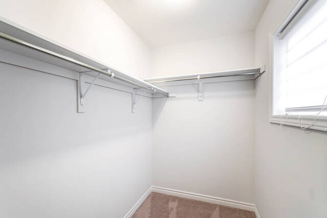 68 Northhill Avenue, Cavan-Monaghan - photo 39