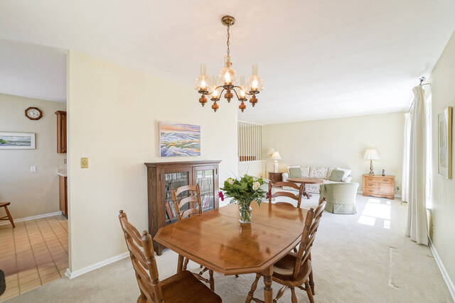 12 Brougham Crescent, Etobicoke - photo 10