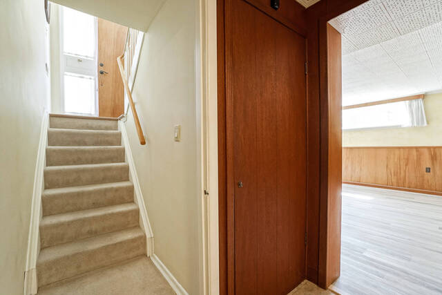 12 Brougham Crescent, Etobicoke - photo 26
