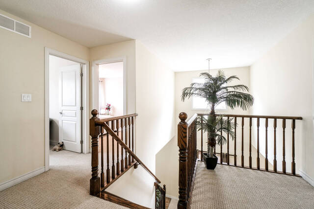 26 Creek Ridge Street, Kitchener - photo 31