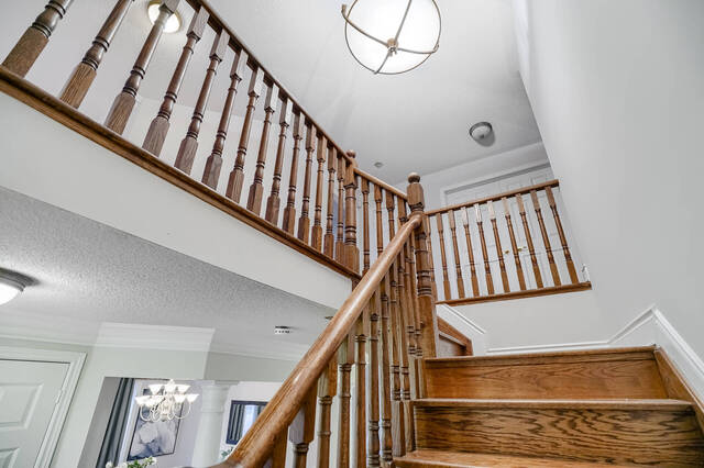 73_.jpg