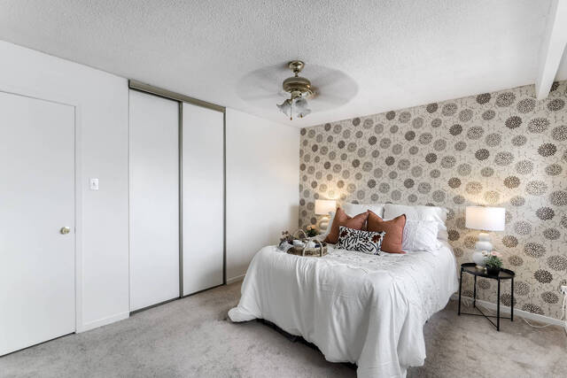 41.JPG