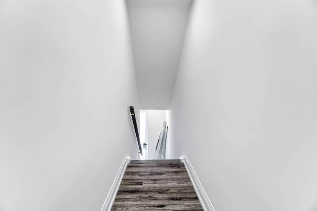 7427 Moodie Court, Mississauga - photo 20
