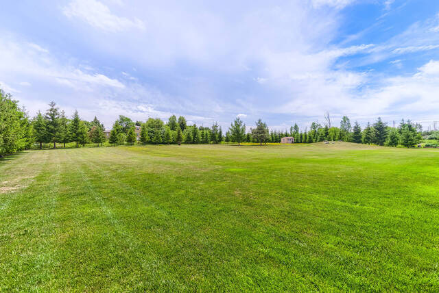 28 Morris Court, Brampton - photo 123