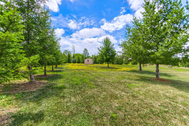 28 Morris Court, Brampton - photo 126
