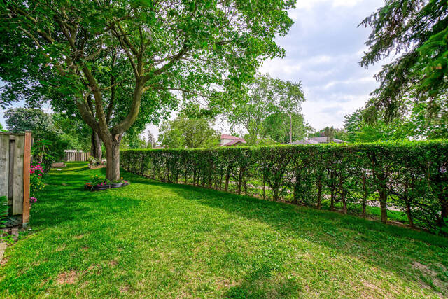 #33-19 Tealham Drive, Etobicoke - photo 35