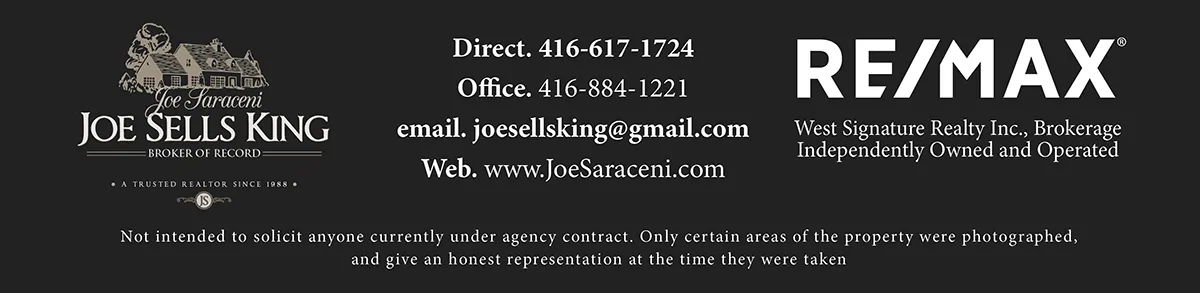 Joe Saraceni