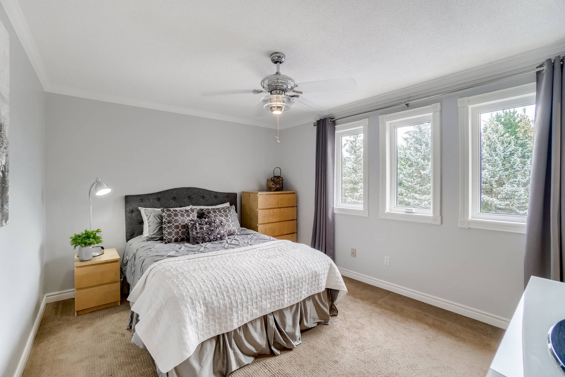 2117517