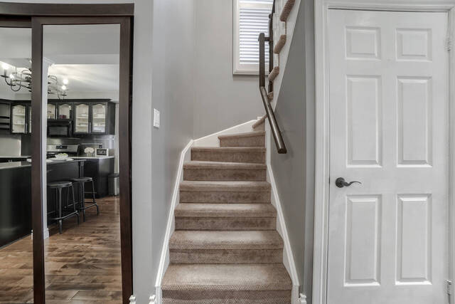 81 Smith Drive, Georgetown - photo 20