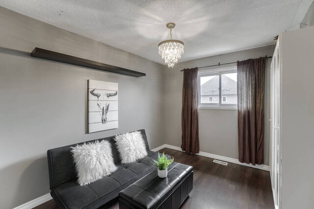 81 Smith Drive, Georgetown - photo 33