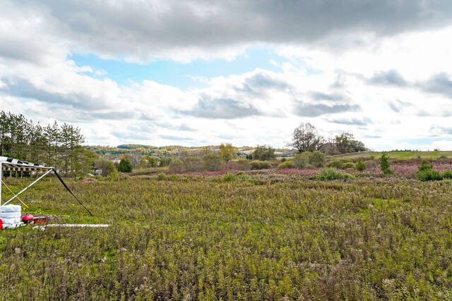 36 Pioneer Drive, Erin - photo 86