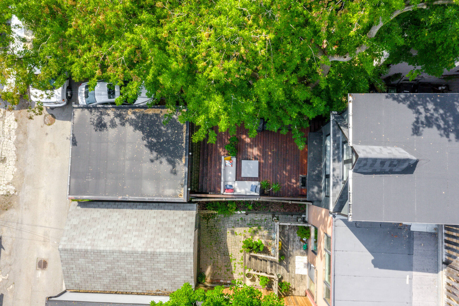 51 Macpherson Avenue, Toronto - photo 68