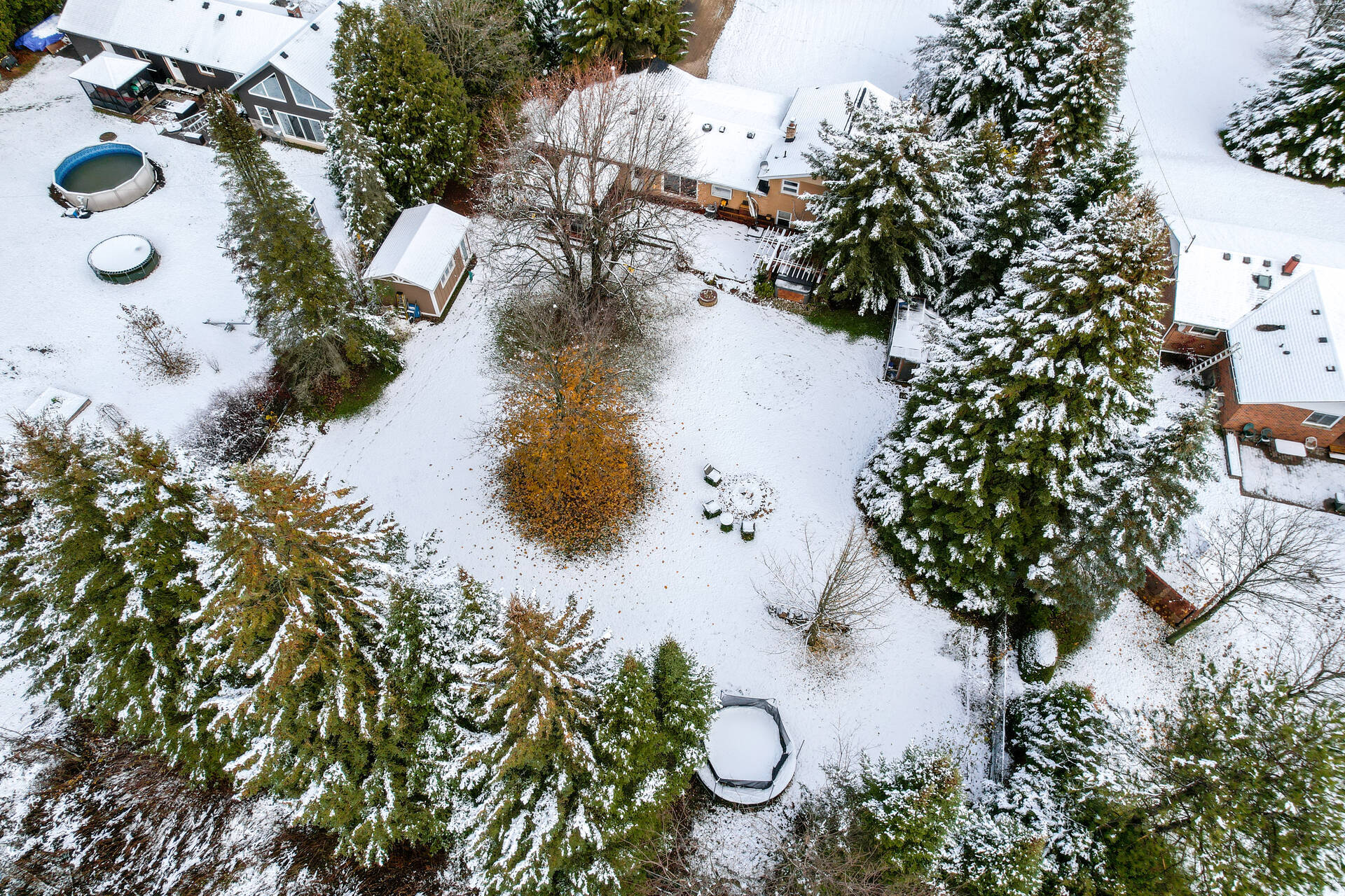2225803