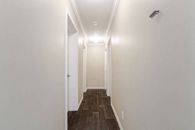 638314 Prince of Wales Road West, Mulmur - photo 34