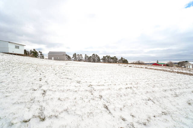 638314 Prince of Wales Road West, Mulmur - photo 59