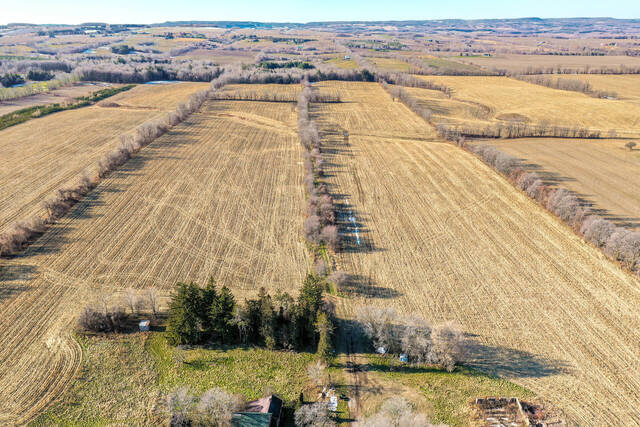 1816 County Rd 42, Stayner - photo 17