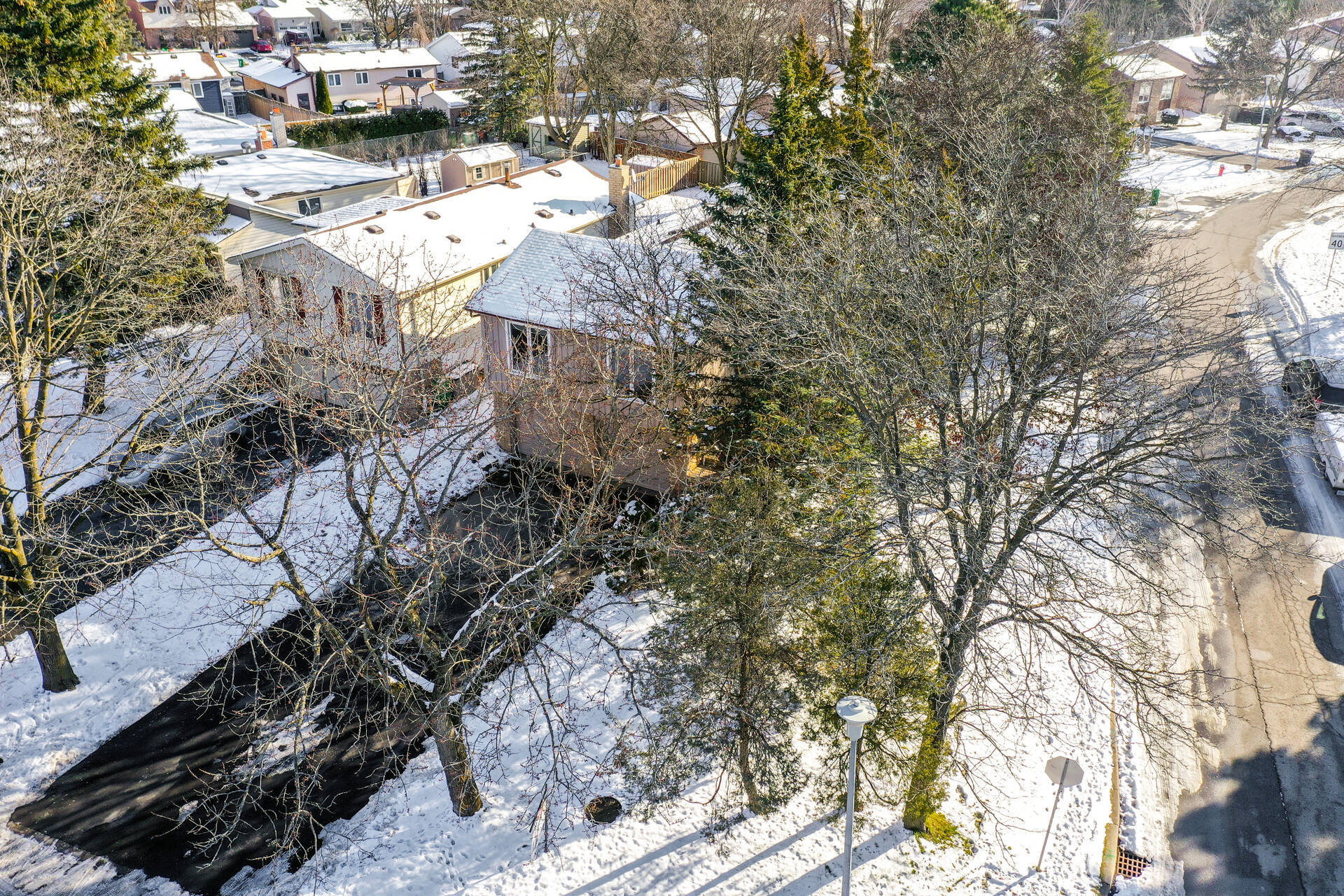 369 Whitehead Crescent by Gary Cirillo