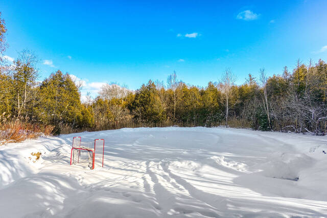 676511 Centre Road, Shelburne - photo 64