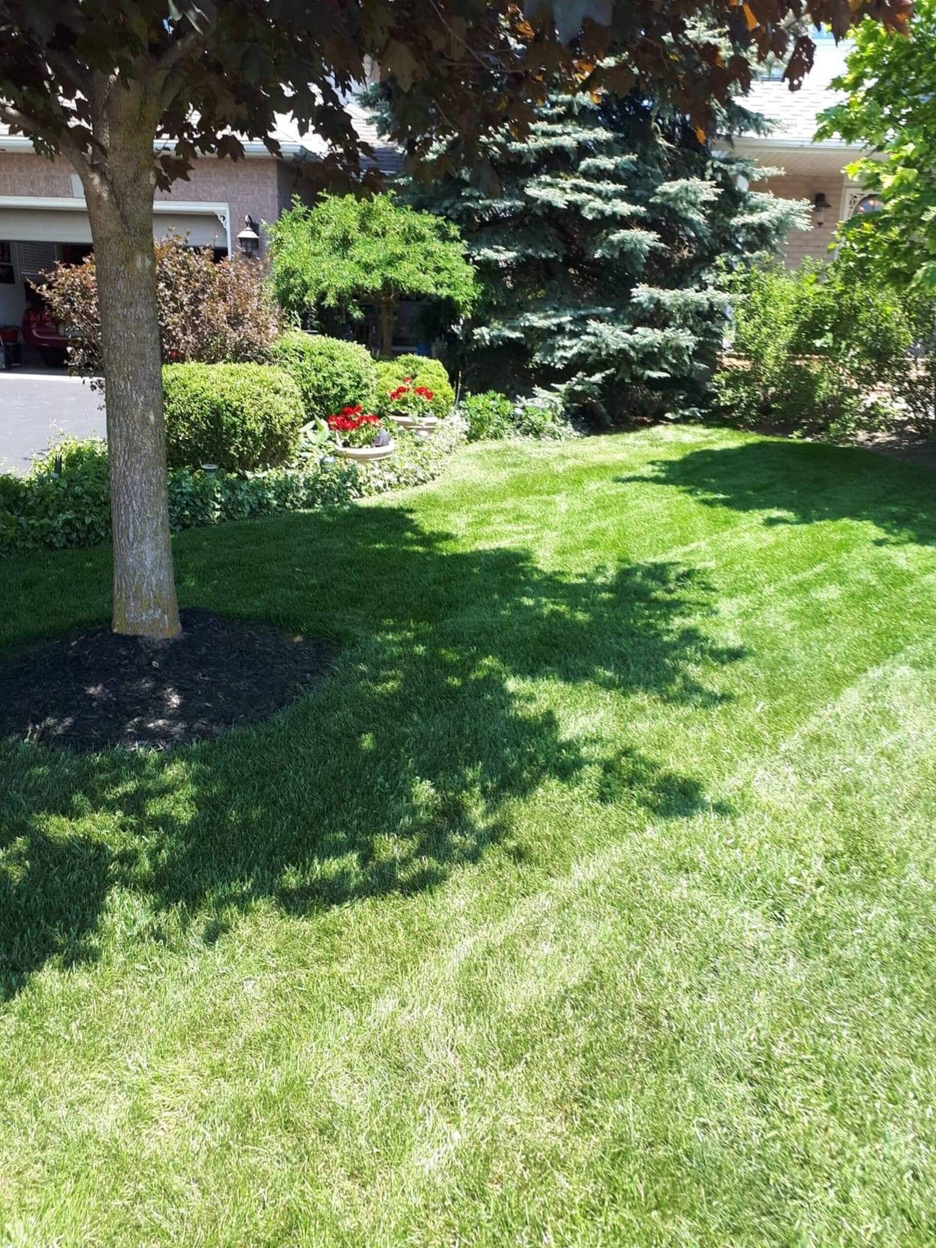 12 Robertson Street, Fergus - photo 41