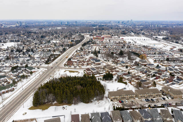 71 Iron Gate Street, Kitchener - photo 53