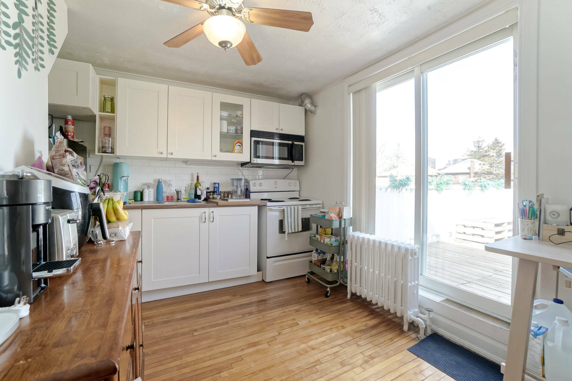 201 Bicknell Avenue by Paula Malgueiro