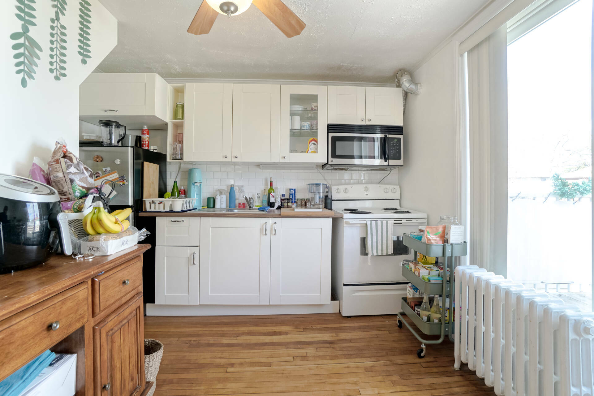 201 Bicknell Avenue by Paula Malgueiro