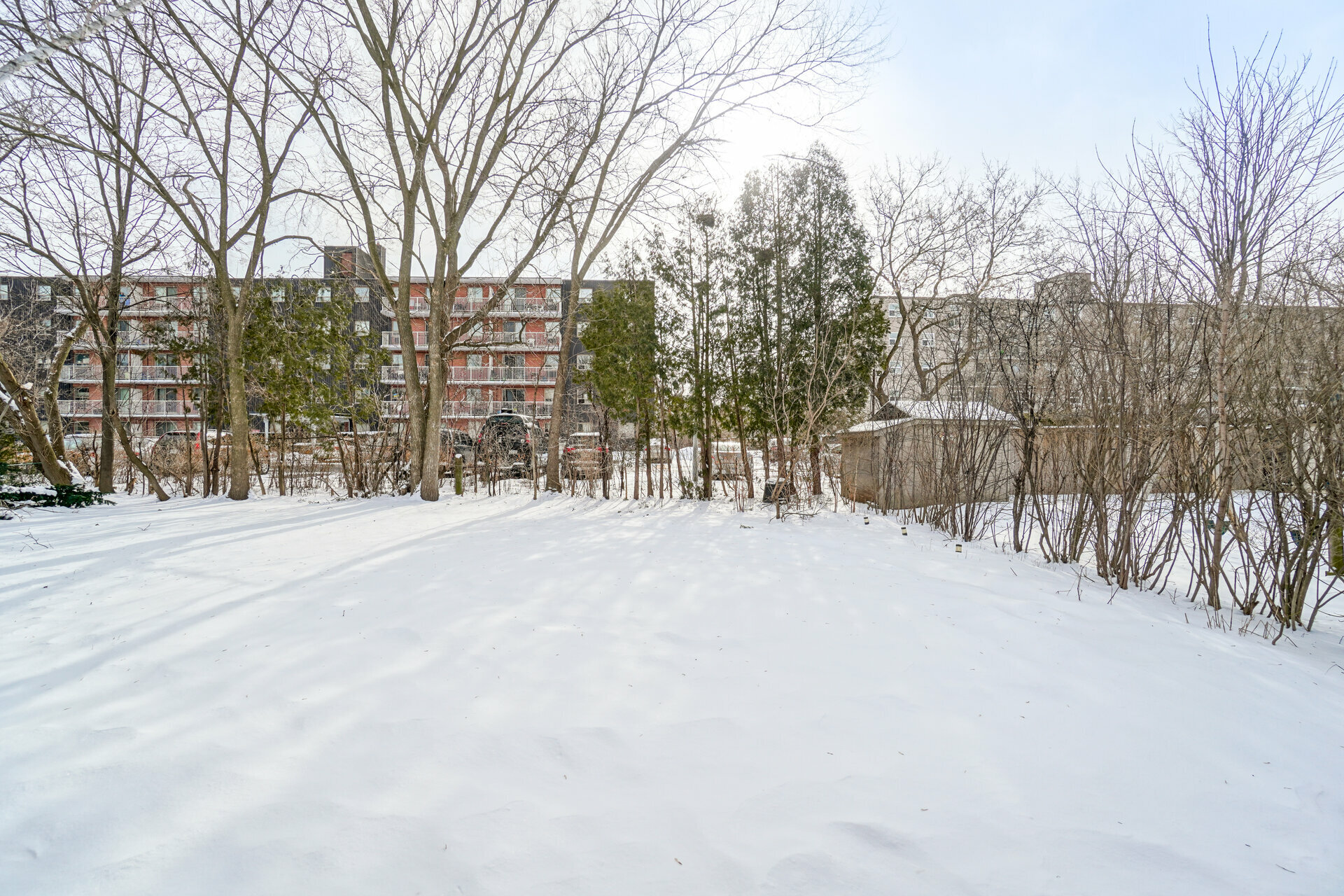 8 Marlborough Road, Guelph - photo 38