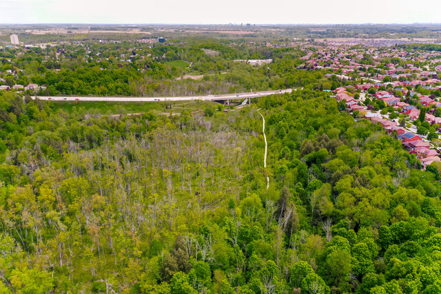 37 Lookout Court, Georgetown - photo 82
