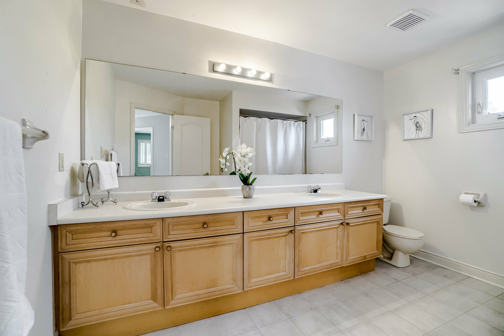 4 Gollop Crescent, Georgetown - photo 42