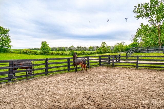 6375 17th Sideroad, King - photo 77