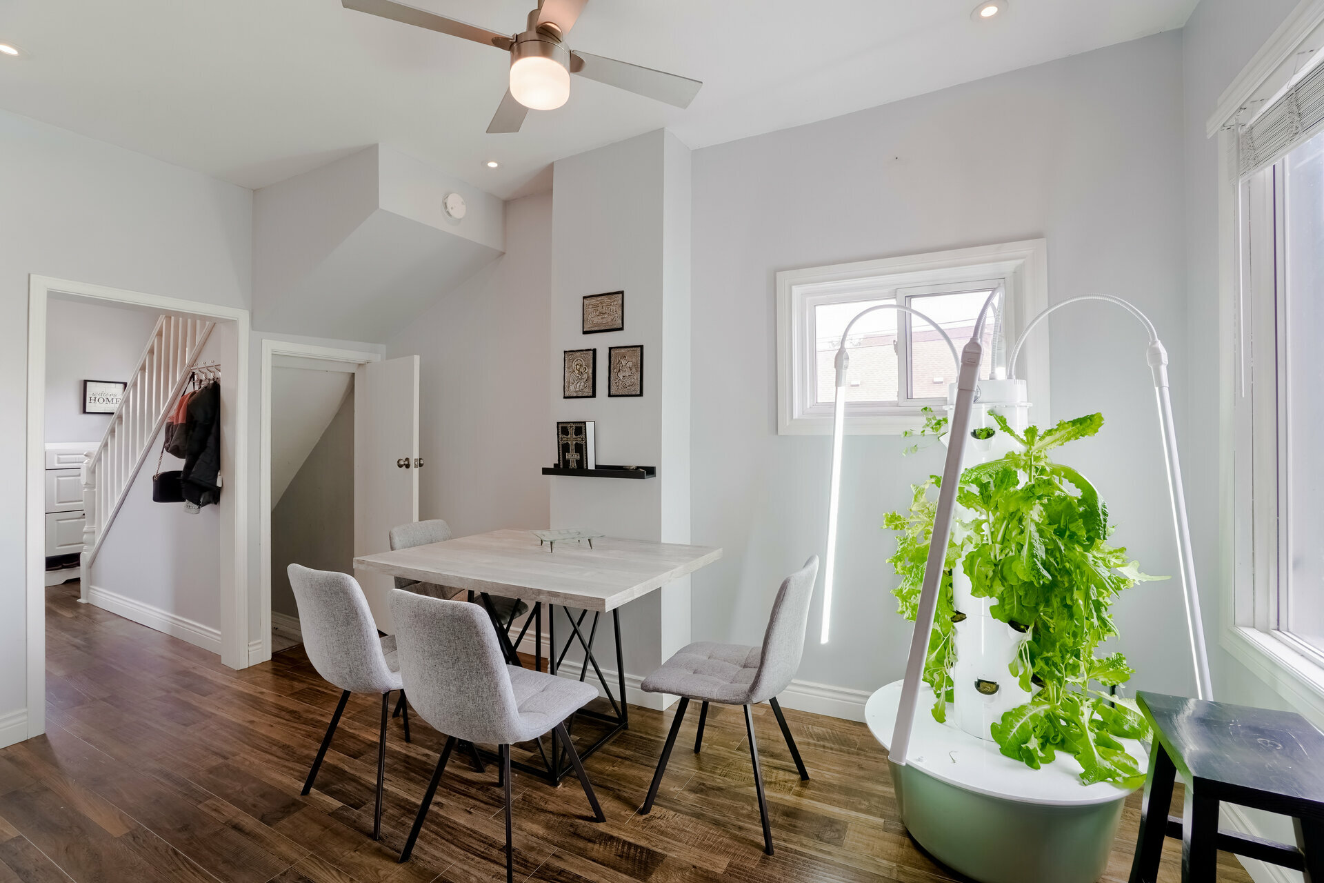 2450781