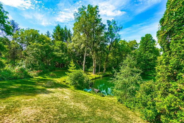 25 Little Rebel Road, Schomberg - photo 43