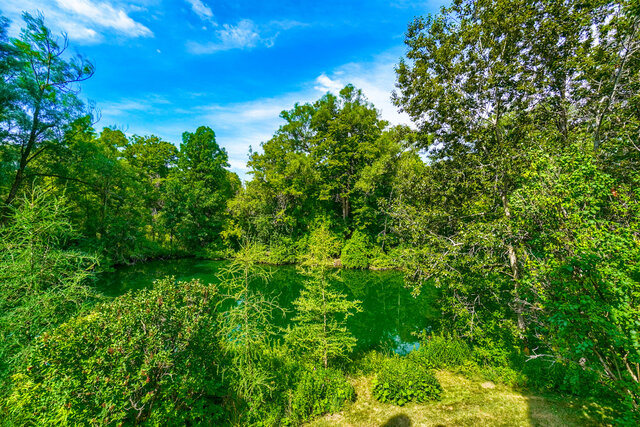 25 Little Rebel Road, Schomberg - photo 44