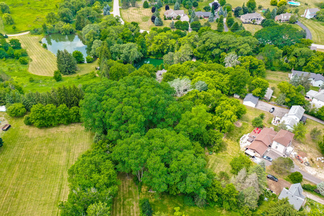 25 Little Rebel Road, Schomberg - photo 82