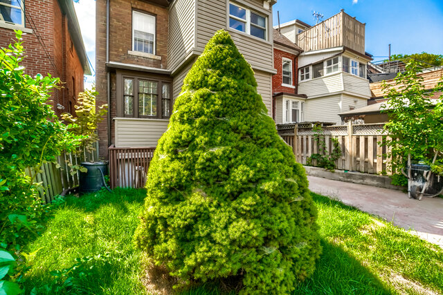 31 Tyndall Avenue, Toronto - photo 72