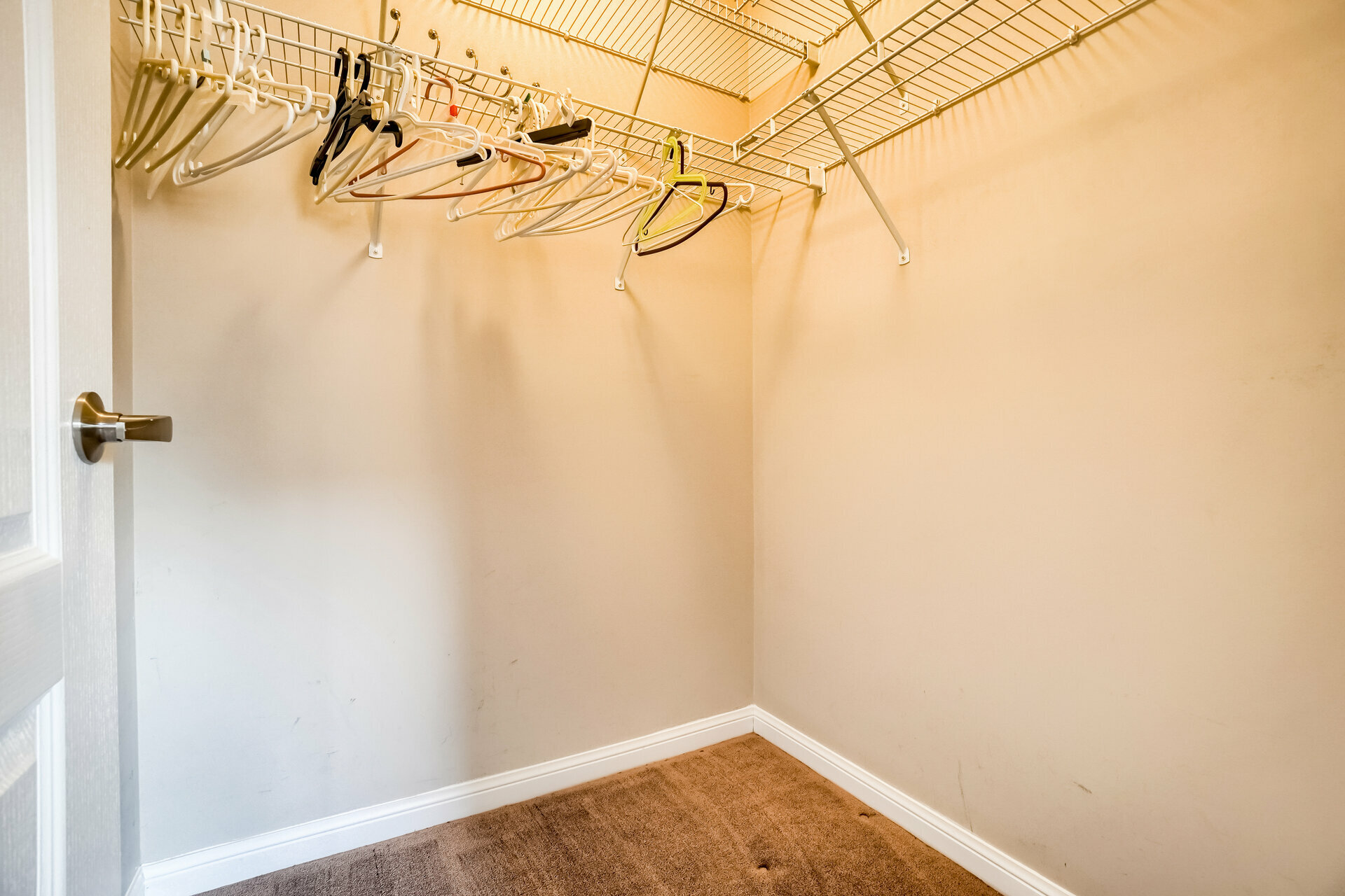 805 Yates Drive, Milton - photo 29