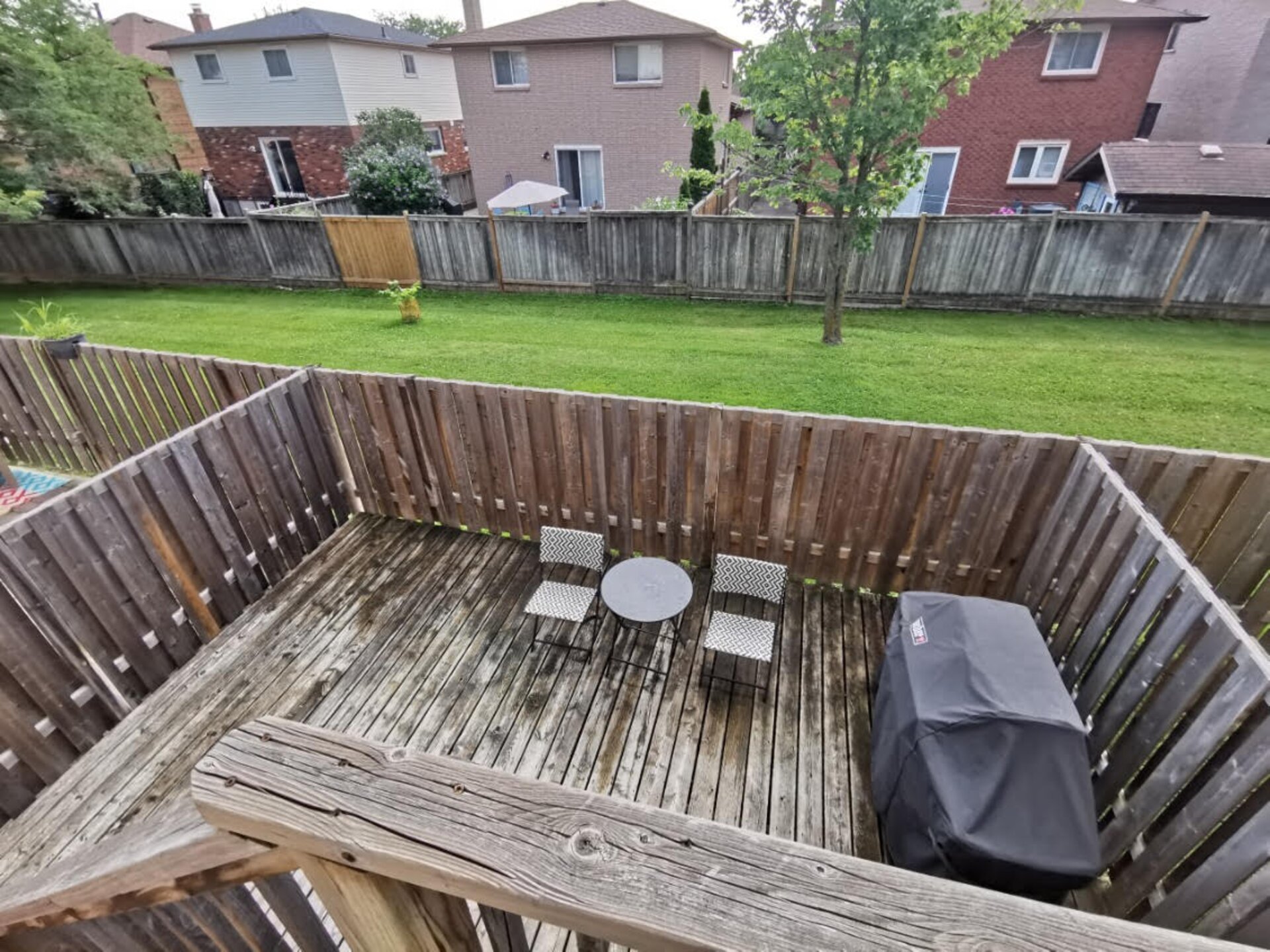 2769574