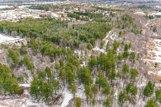 6321 Kirby Road, Kleinburg - photo 75