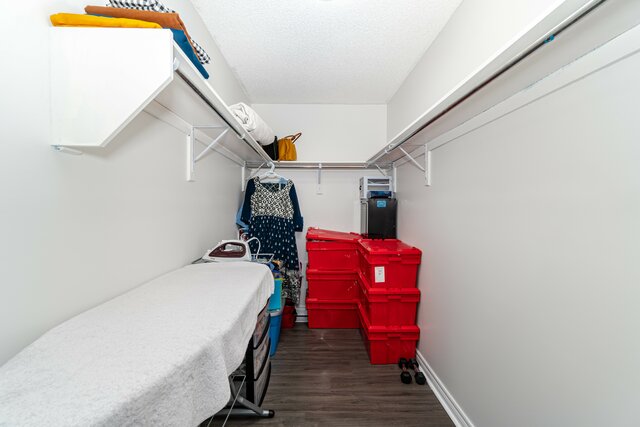 18 McFarlane Crescent, Fergus - photo 26