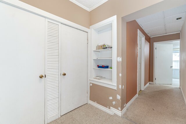 9 Market Street, Kitchener - photo 18
