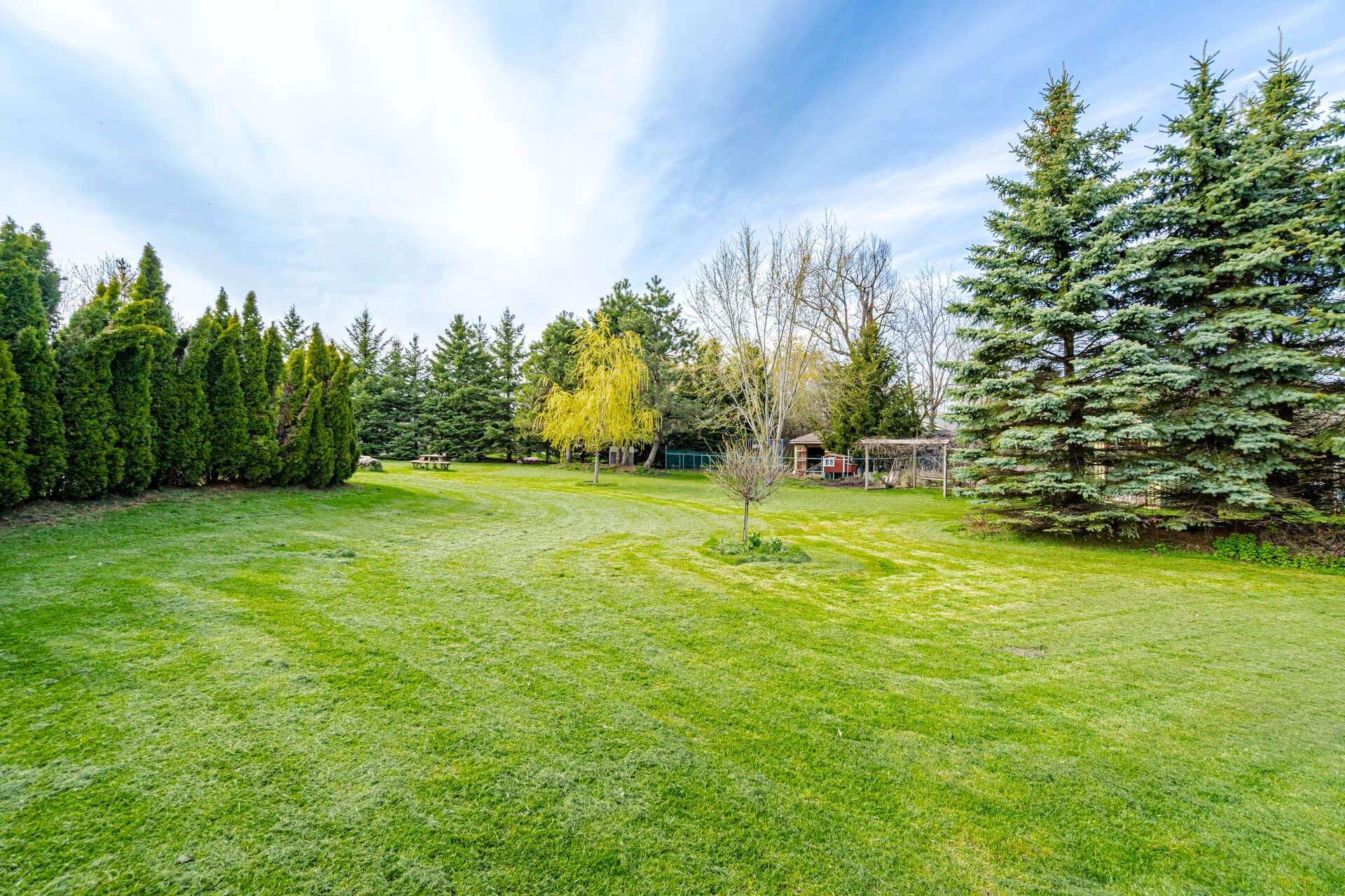 2 Abbitt Crescent, Georgetown - photo 125