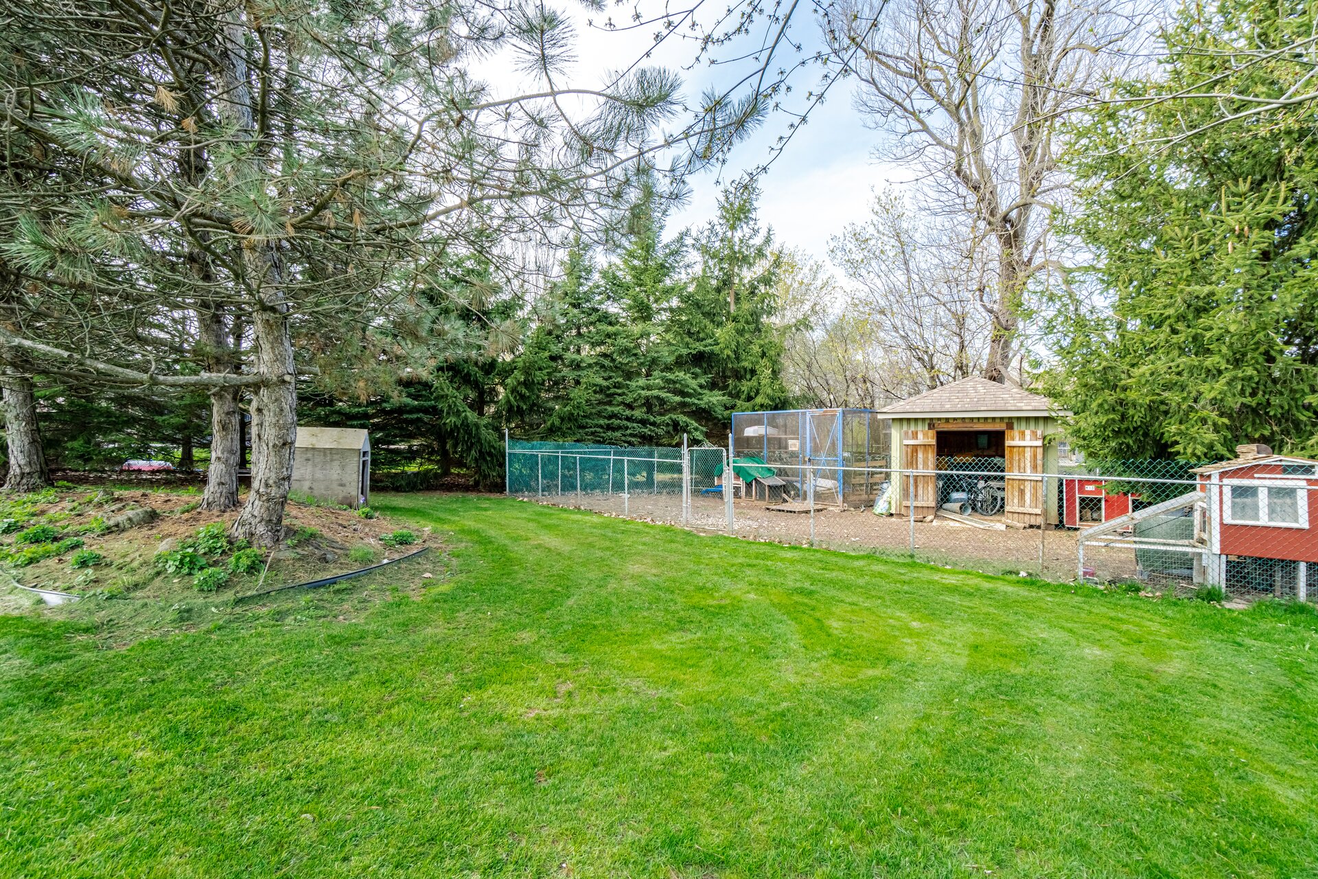 2 Abbitt Crescent, Georgetown - photo 126